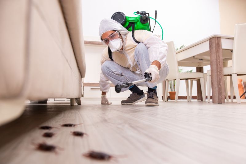 Professional Pest Inspection